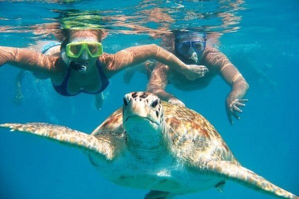 Abu Dabbab Turtle Marsa Alam