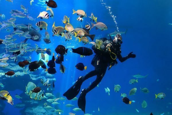 Hurghada Scuba Diving Two Dives Introduction